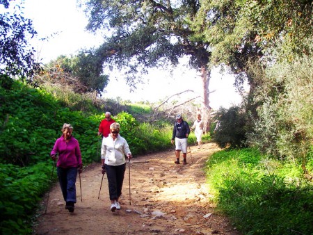 Nordic walking clinics